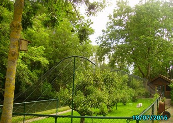 Volierenetten PE geknoopt