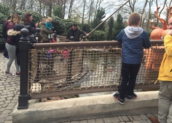 Balustradenetten attractie Pinocchio in de Efteling