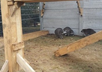 pe geknoopte netten wasdierenverblijf