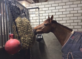 PE geknoopte netten Slowfeeders