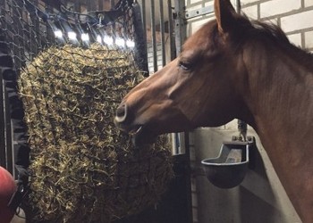 PE geknoopte netten Slowfeeders