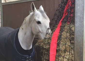 PE geknoopte netten Slowfeeders