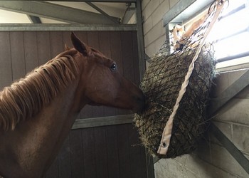 PE geknoopte netten Slowfeeders