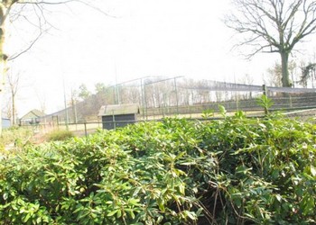 Overkapping dierenren