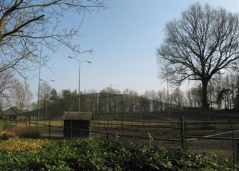 Overkapping dierenren