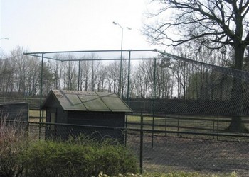 Overkapping dierenren