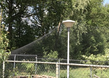 PE geknoopt net op rol 10x25 m, maas 50x50 mm, draaddikte 1,3 mm.