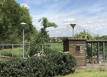 PE geknoopt net op rol 10x25 m, maas 50x50 mm, draaddikte 1,3 mm.