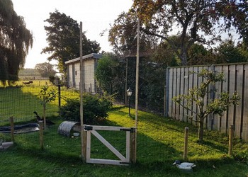 polyethyleen geknoopt 7x7 cm. 1,3 mm. Jim Visser