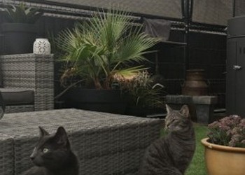 PE geknoopte netten voor katten en schaduwdoeken