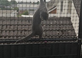 PE geknoopte netten voor katten en schaduwdoeken