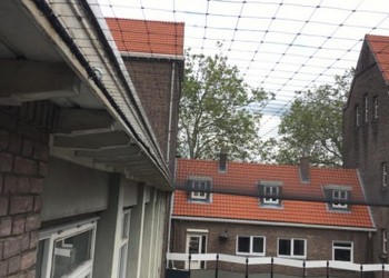 Anti Vogelwering Huis vd wijk Hillevliet Rotterdam