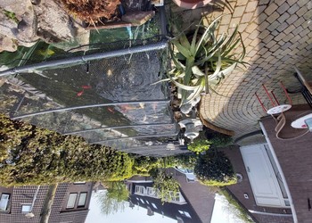 Vijvernetten maas 15x15 mm, draaddikte 1,3 mm. Fam Funcke