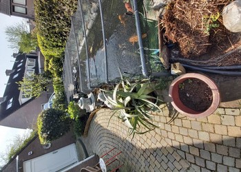 Vijvernetten maas 15x15 mm, draaddikte 1,3 mm. Fam Funcke