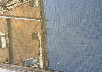 pe geknoopt 2,9x2,9 mm, draaddikte 1,3 mm. Alex Pul