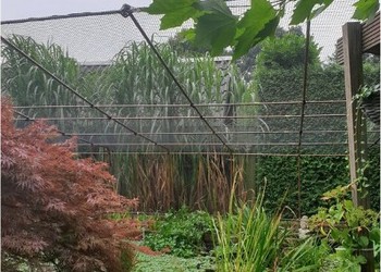 vijvernet 15x15 mm PE Hindriks Vroomshoop