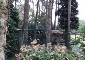 pe geknoopt 5x5 1,3 edgar ambachtsheer