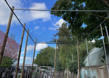 pannakooi kornalijn pe 4x4 3 mm. dennis buitenkamp