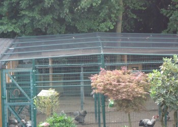 pe geknoopt net 2,9x2,9 1.3 mm Ooms België