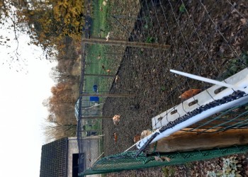 andre van aerschot pe geknoopt net 4x4 cm 1.3 mm.