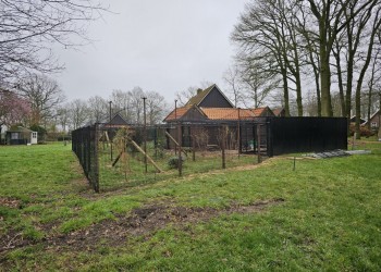 pe geknoopt 4x4 1.3 en 3 mm. Borgerink Groendesign