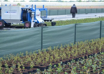 Winddoek donkergroen 180 gr/m2