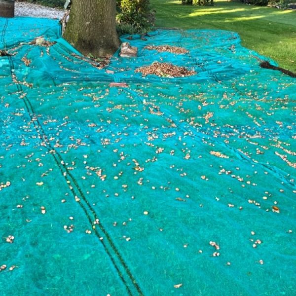 Winddoek shadow comfort budget herfst Fam Meijer