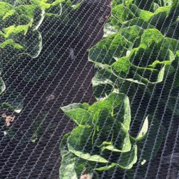 Knooploos net Maas 5x7 - Horti Comfort