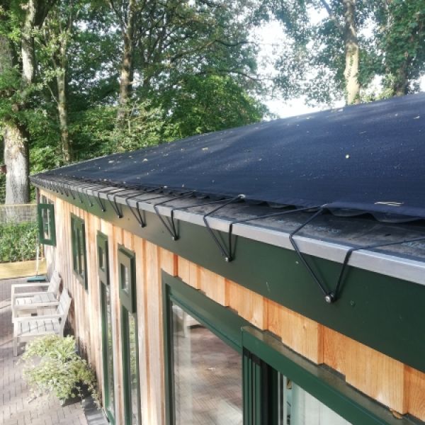 opvangnetten bescherming dak voor eikels