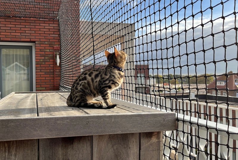 Kattennet bevestigd op balkon